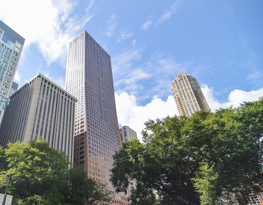 161 E Chicago Avenue - Photo 0