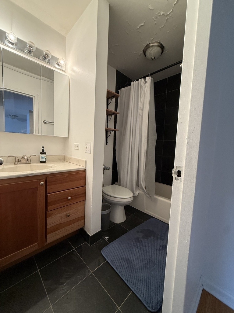 222 E Pearson Street - Photo 8
