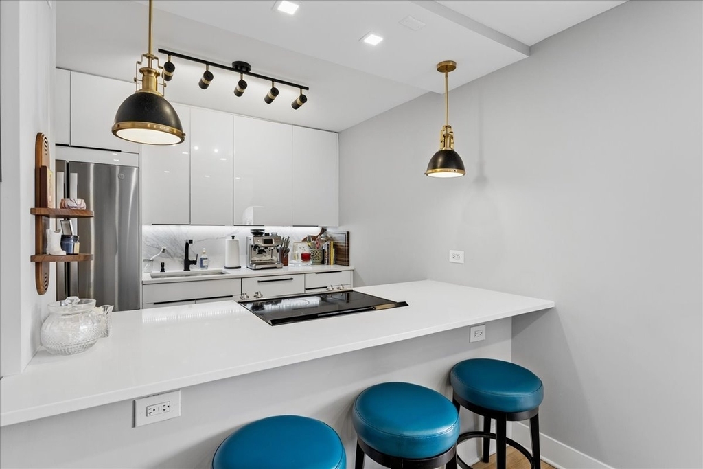 1355 N Sandburg Terrace - Photo 11