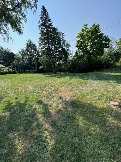 33 E Walnut Avenue - Photo 19