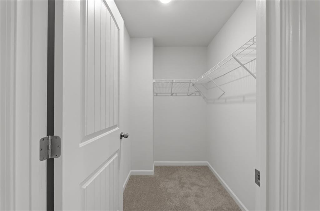 2203 Blue Monarch Drive - Photo 22