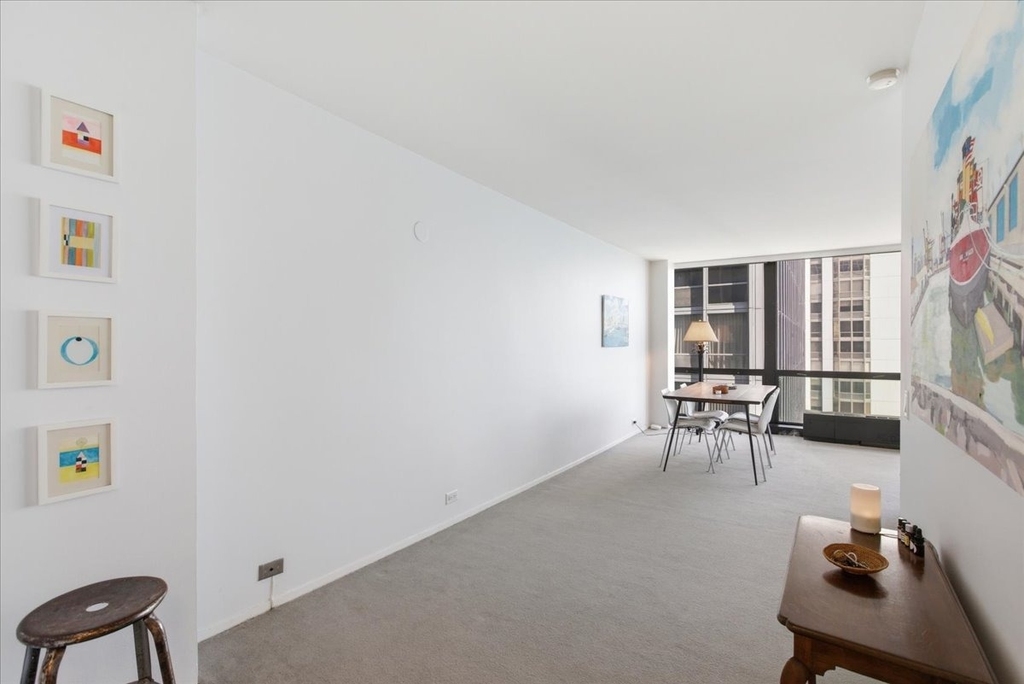 900 N Lake Shore Drive - Photo 4