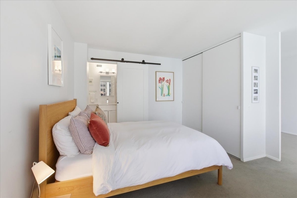 900 N Lake Shore Drive - Photo 8