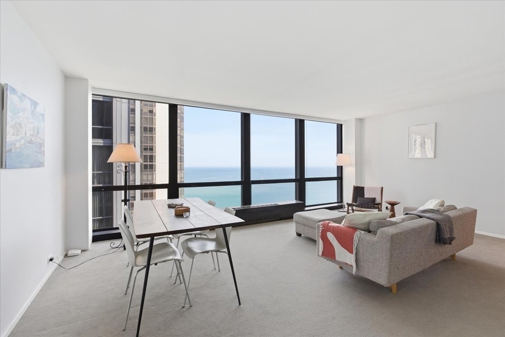 900 N Lake Shore Drive - Photo 5