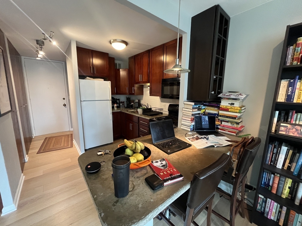 1 E Scott Street - Photo 6
