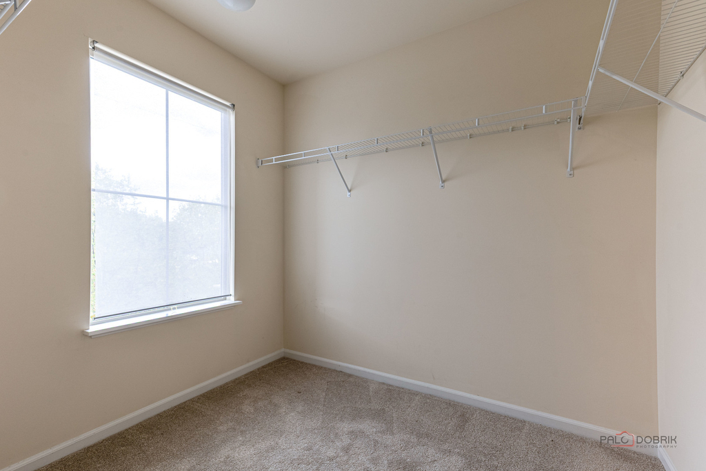 409 Alpine Springs Drive - Photo 15