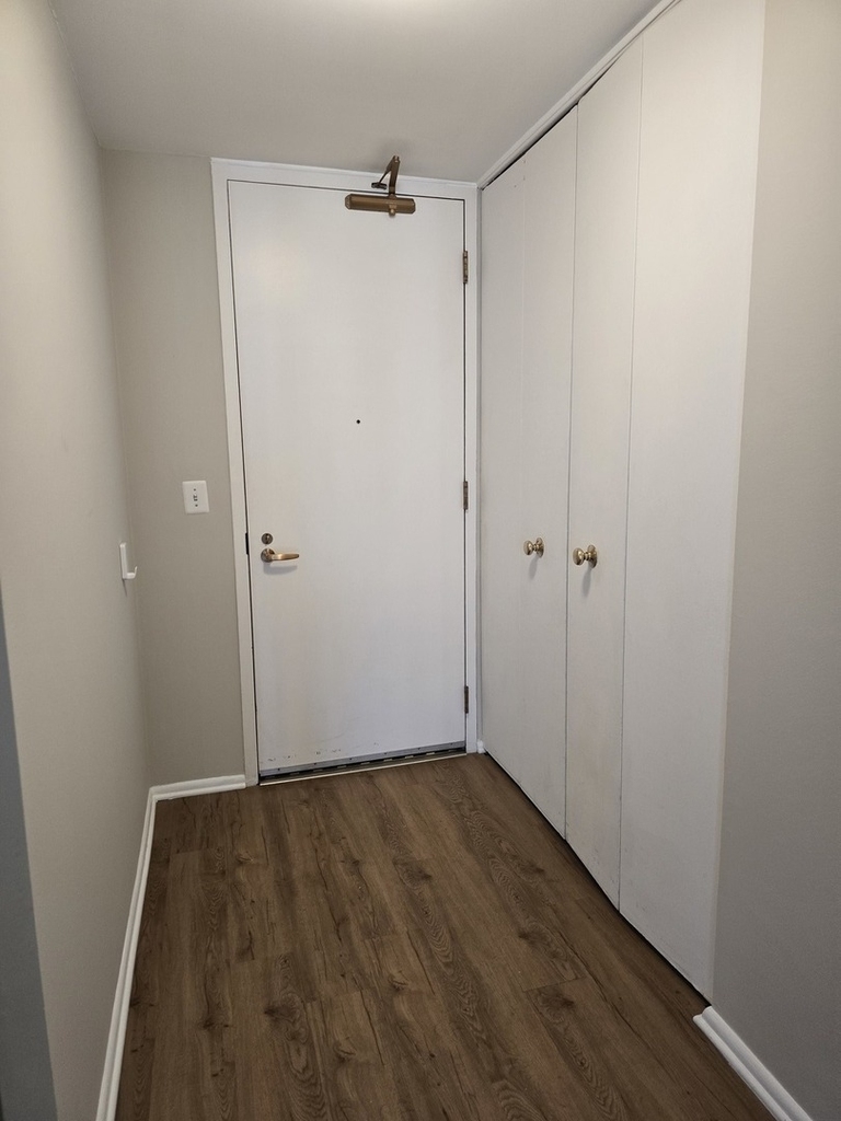 400 E Randolph Street - Photo 3