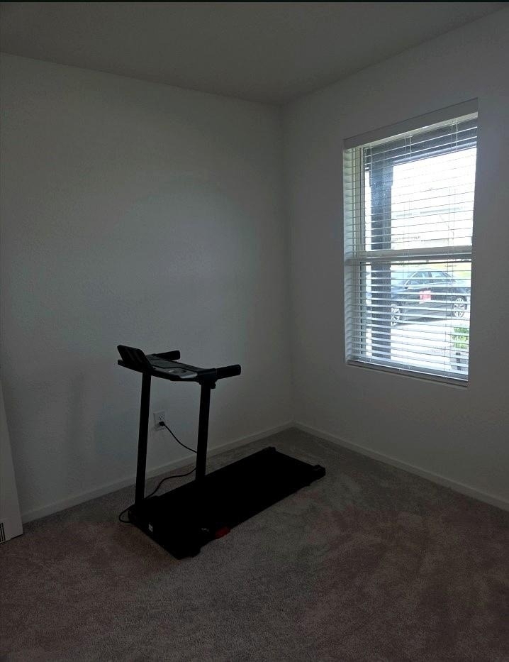 3323 Silvery Bryum Drive - Photo 11