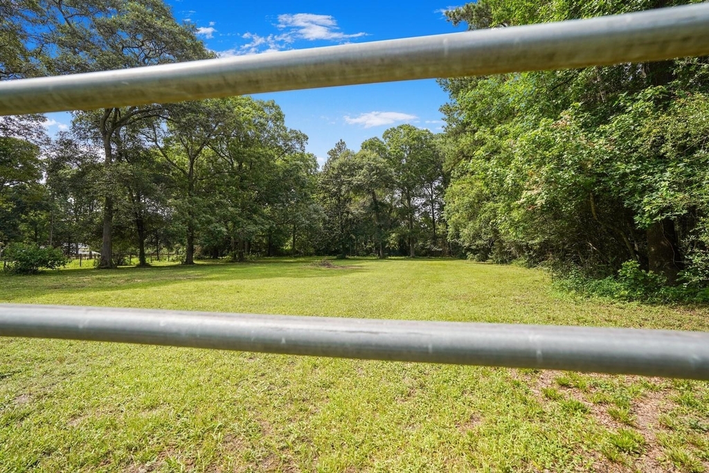 26407 Magnolia Drive - Photo 5