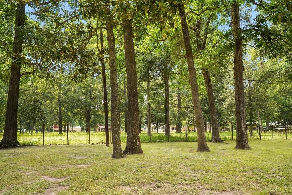 26407 Magnolia Drive - Photo 2