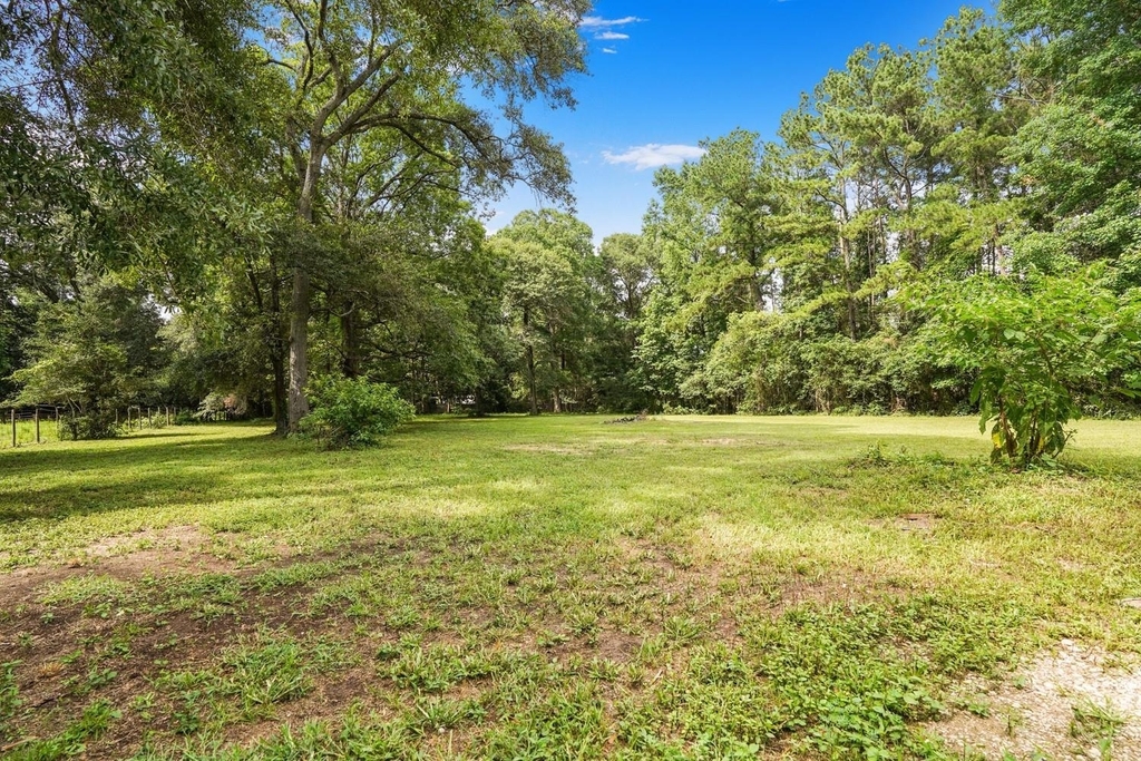 26407 Magnolia Drive - Photo 28