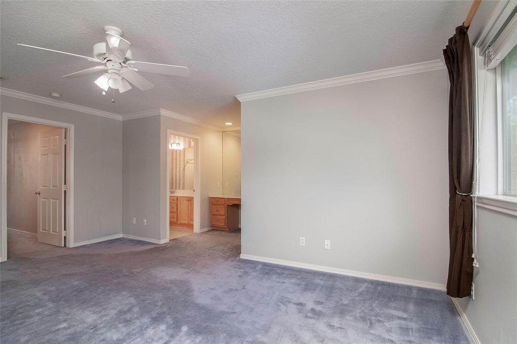 12979 Trail Hollow Drive - Photo 13