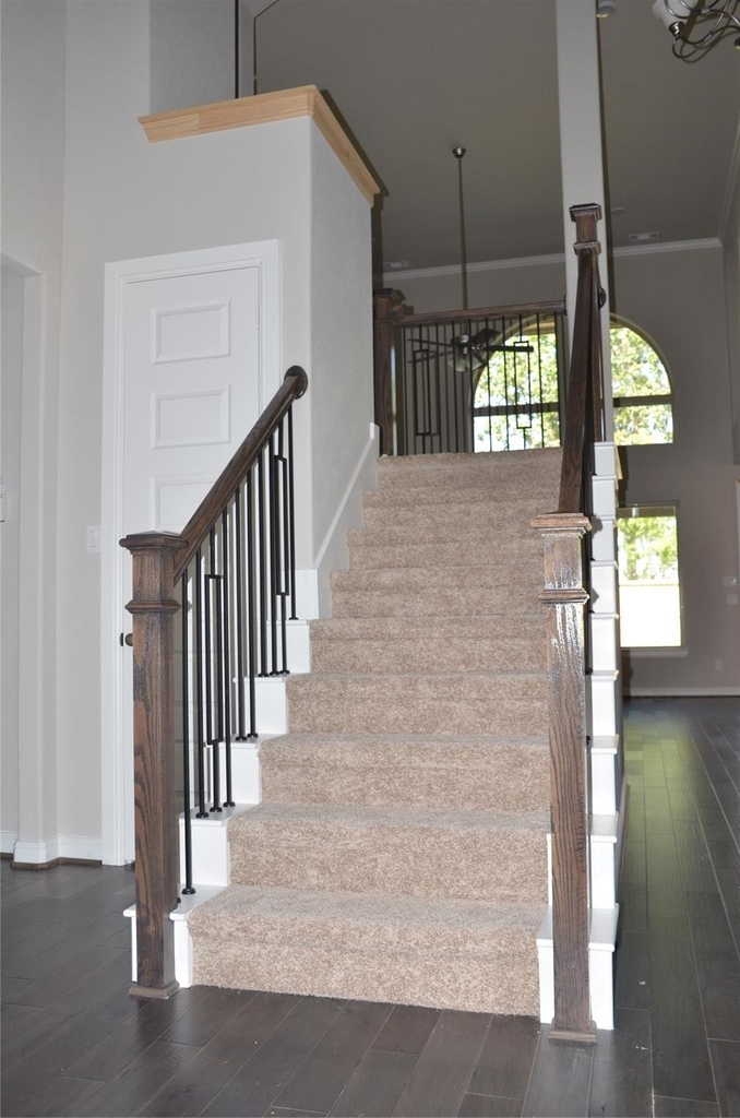 5706 Caper Shores Lane - Photo 13