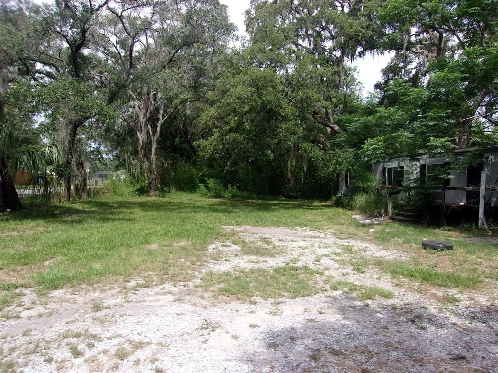 11105 Pinto Drive - Photo 1