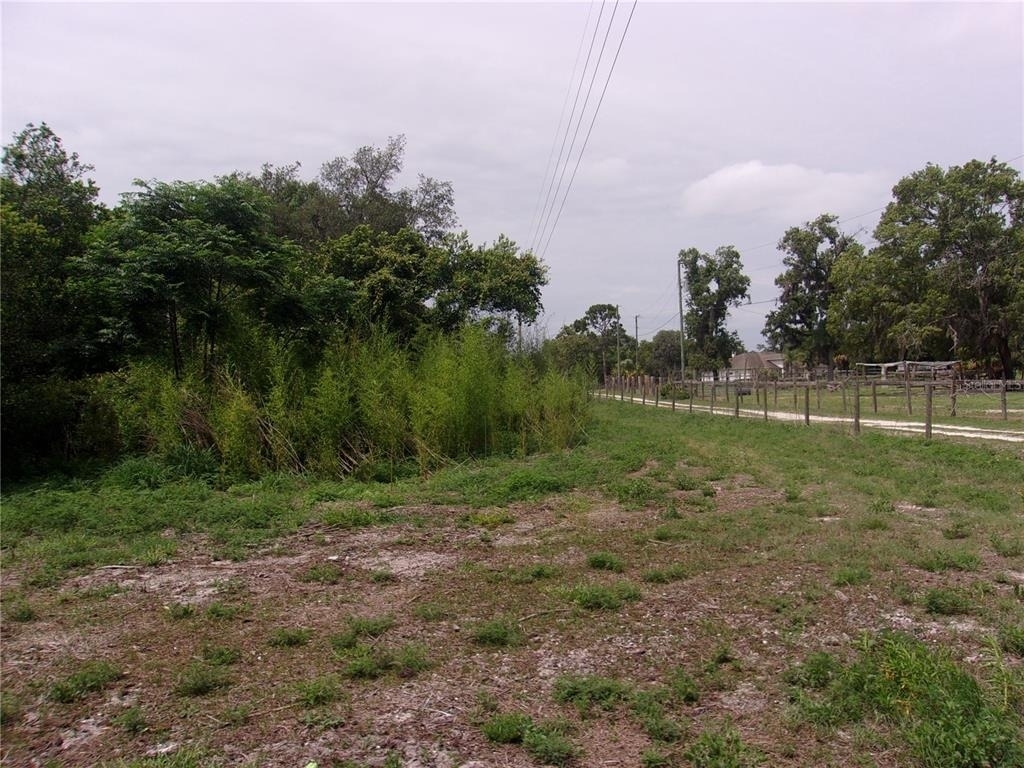 11105 Pinto Drive - Photo 5