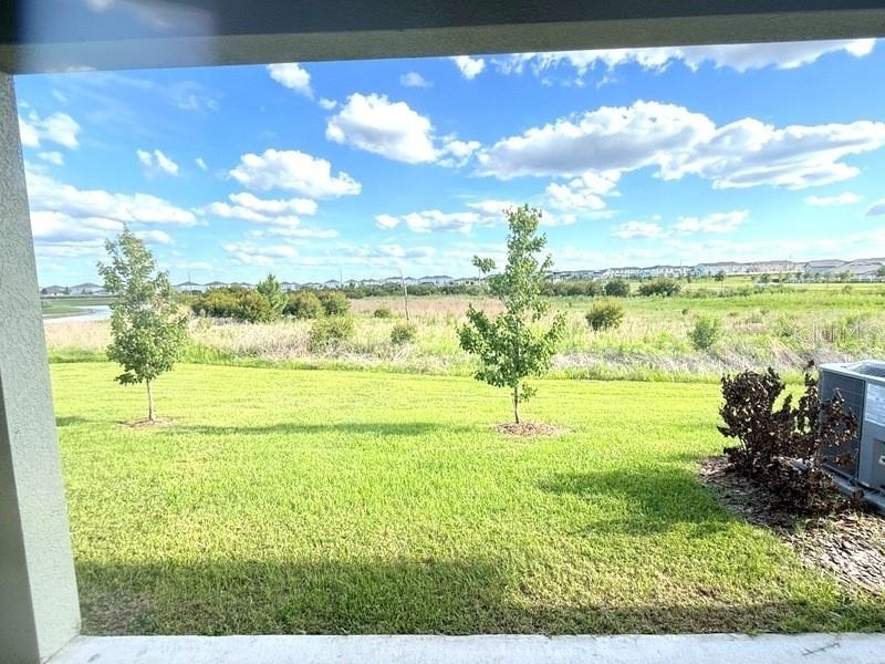 32010 Spiceberry Street - Photo 12