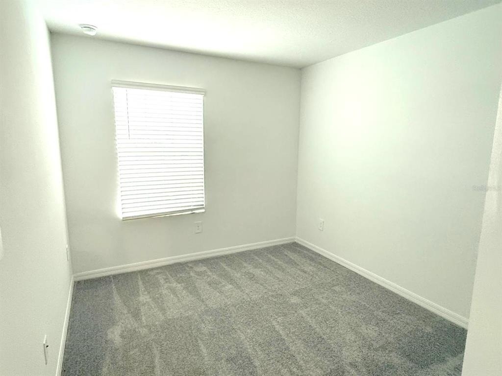 32010 Spiceberry Street - Photo 7