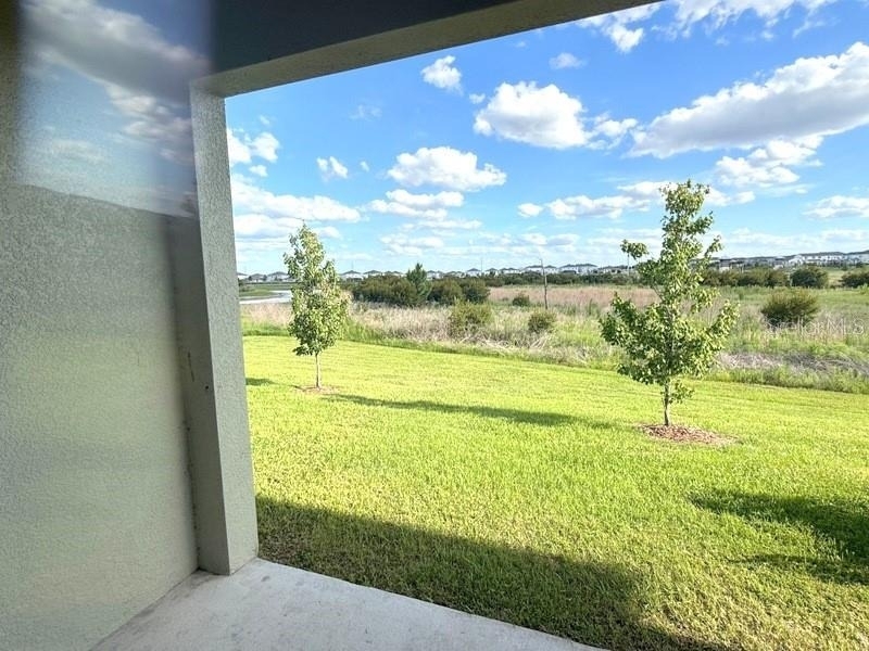 32010 Spiceberry Street - Photo 10