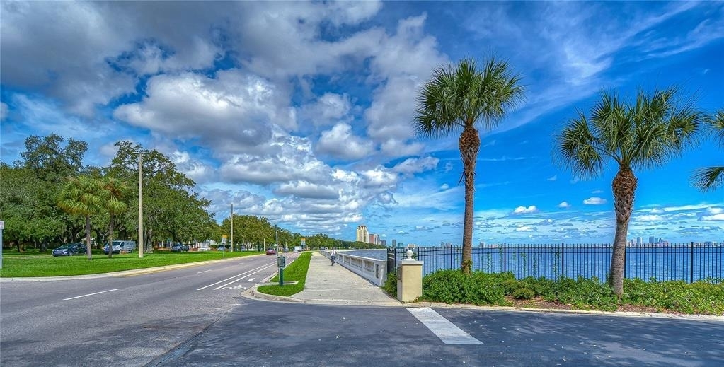 4907 Bayshore Boulevard - Photo 43
