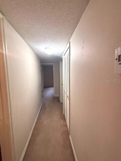 5301 White Cliff Lane - Photo 8