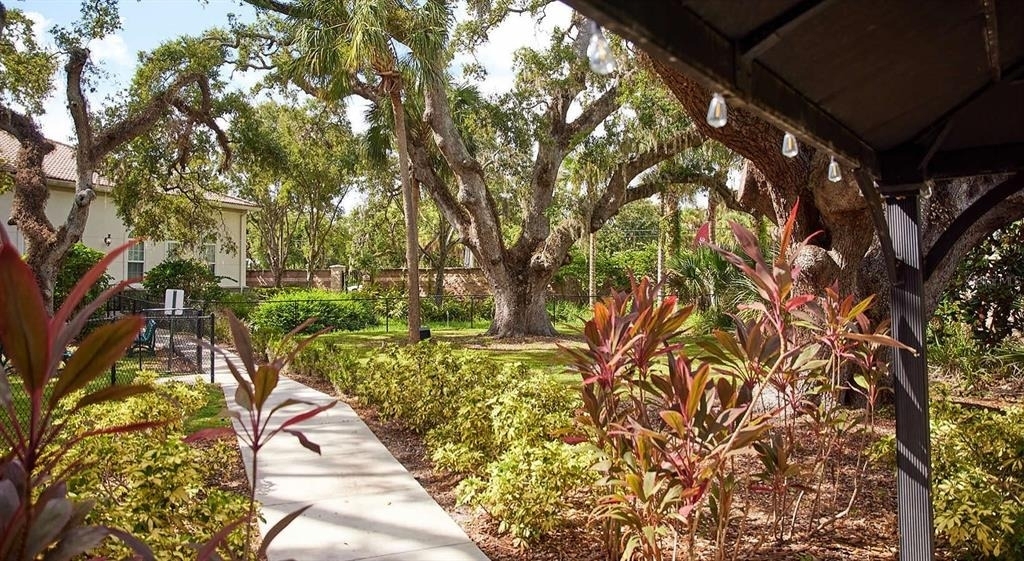 4 Maggie Lane - Photo 7