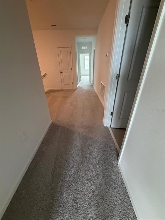 3106 Kurtz Terrace - Photo 10