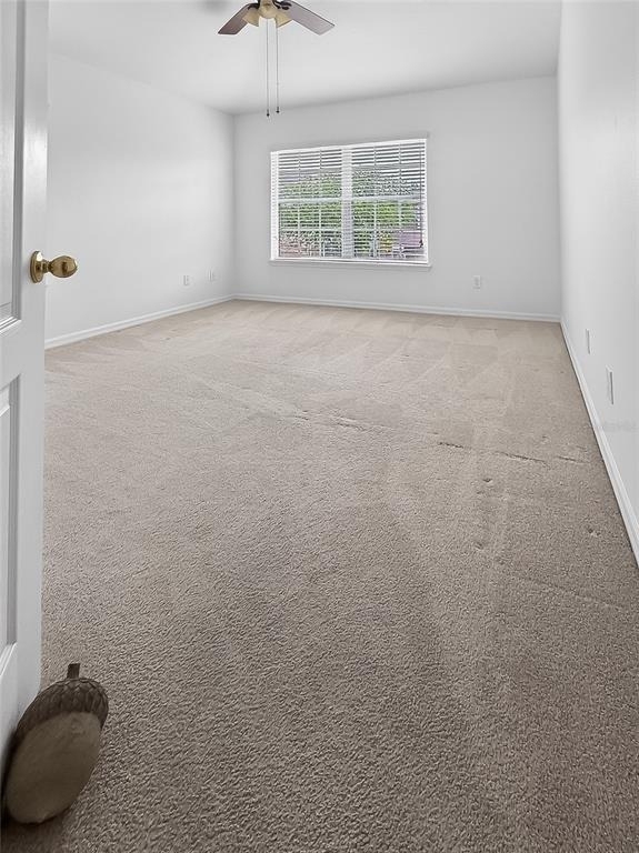 6602 S Goldenrod Road - Photo 31