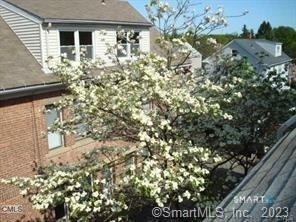 263 Roselle Street - Photo 13