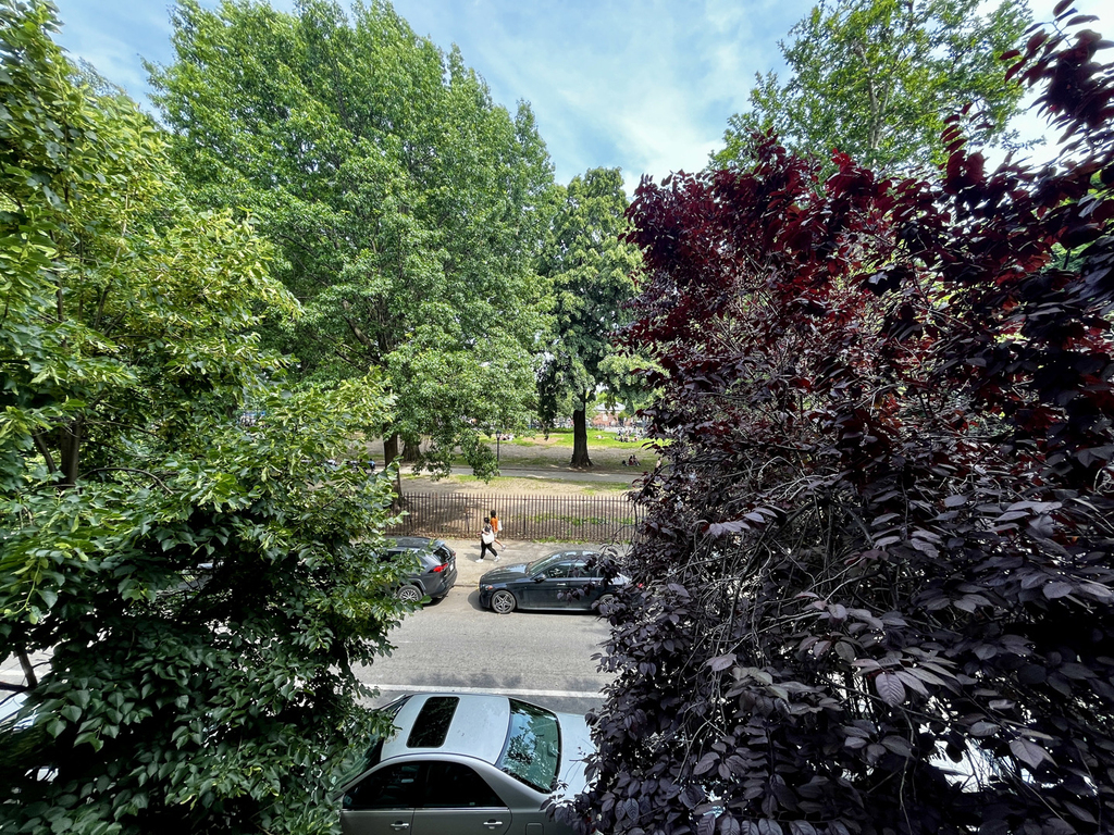 147 Starr Street - Photo 3