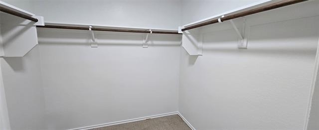 319 Elam Drive - Photo 12