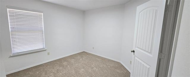 319 Elam Drive - Photo 9