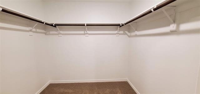 808 Marigold Street - Photo 14