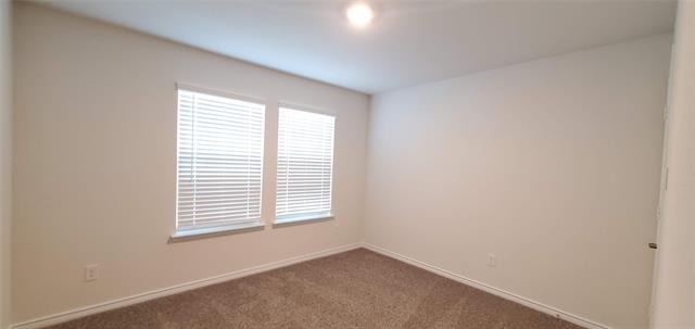 2107 Camellia Street - Photo 9