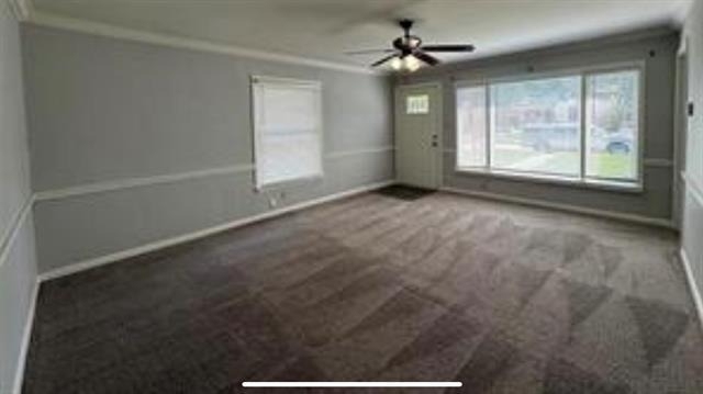 205 Merritt Street - Photo 2
