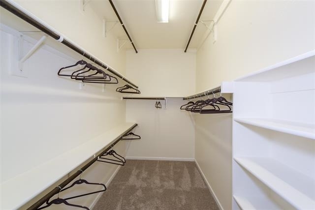 1008 Lone Ivory Trail - Photo 26