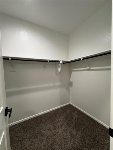 8901 Timber Gulch Circle - Photo 21