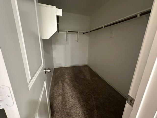 1202 Meadow Wood - Photo 23