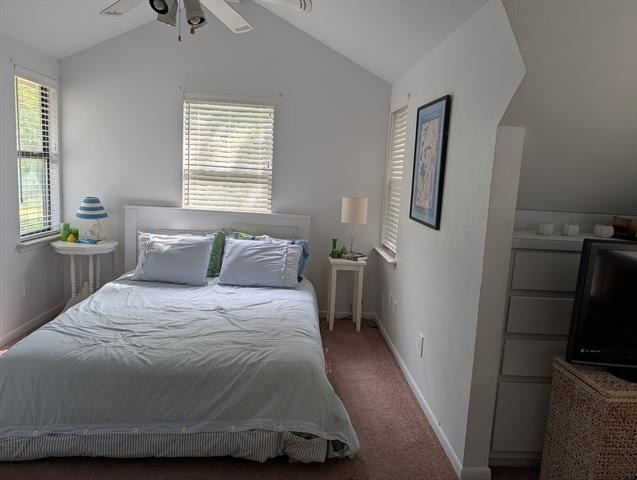 155 Lake Drive - Photo 12