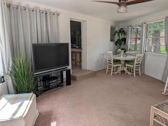 155 Lake Drive - Photo 9