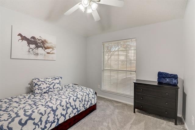 6302 Mount Vernon Drive - Photo 23