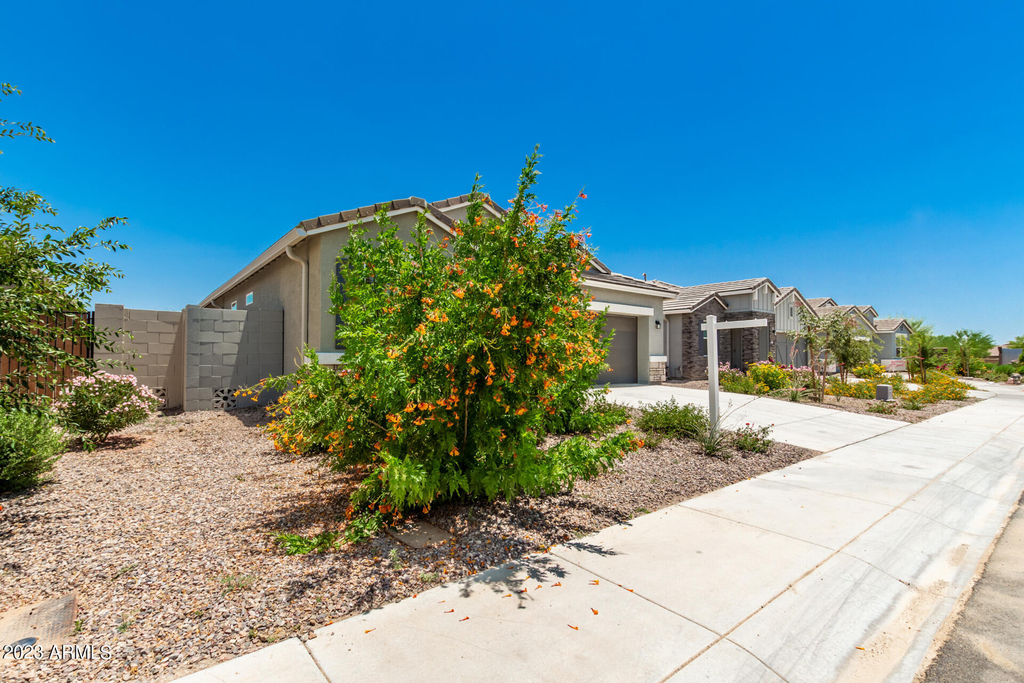 36501 N Senepol Street - Photo 2