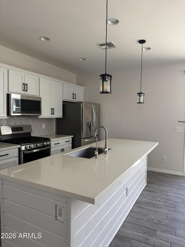 25202 N 142nd Drive - Photo 19