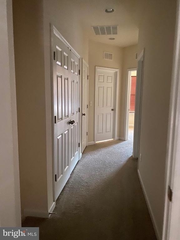 9003 Phita Lane - Photo 33