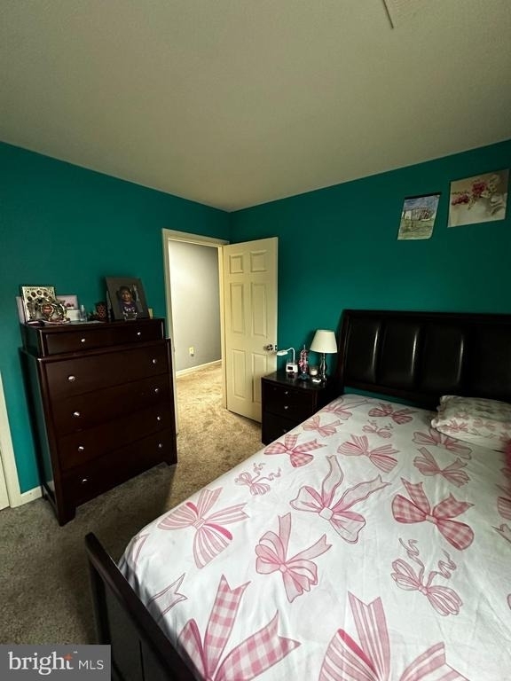 13544 Canada Goose Court - Photo 10