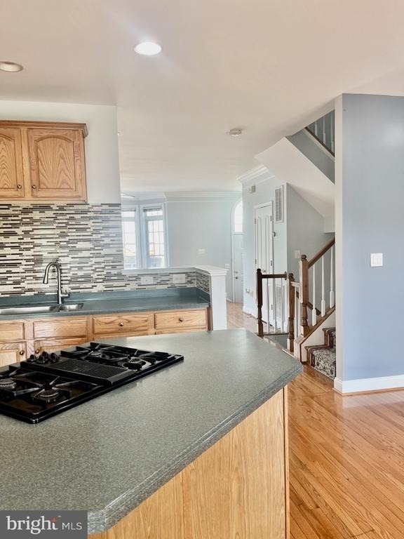 5370 Blue Aster Circle - Photo 2