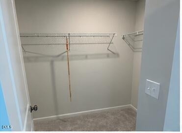 243 Paramount Drive - Photo 9