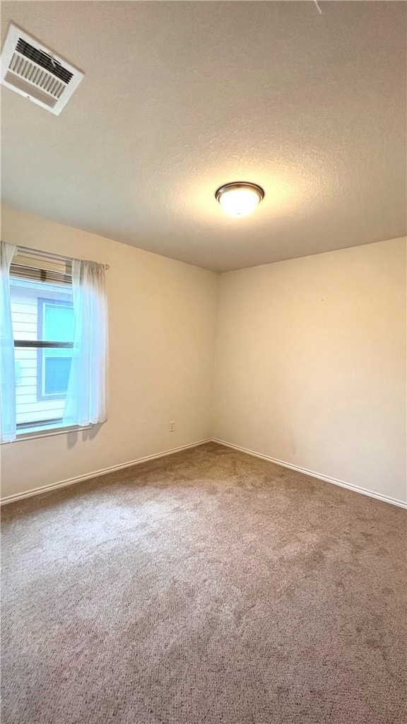 813 Oatmeal Dr - Photo 11