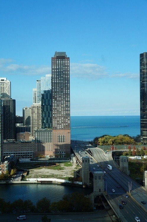 474 N Lake Shore Drive - Photo 15