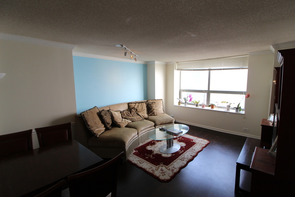 474 N Lake Shore Drive - Photo 3