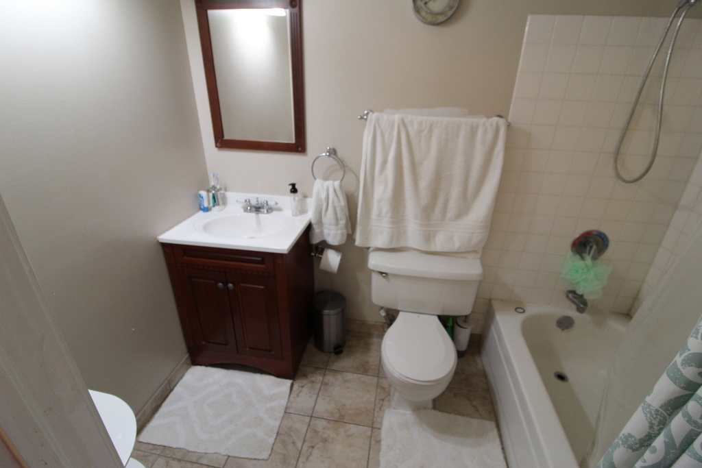 474 N Lake Shore Drive - Photo 11